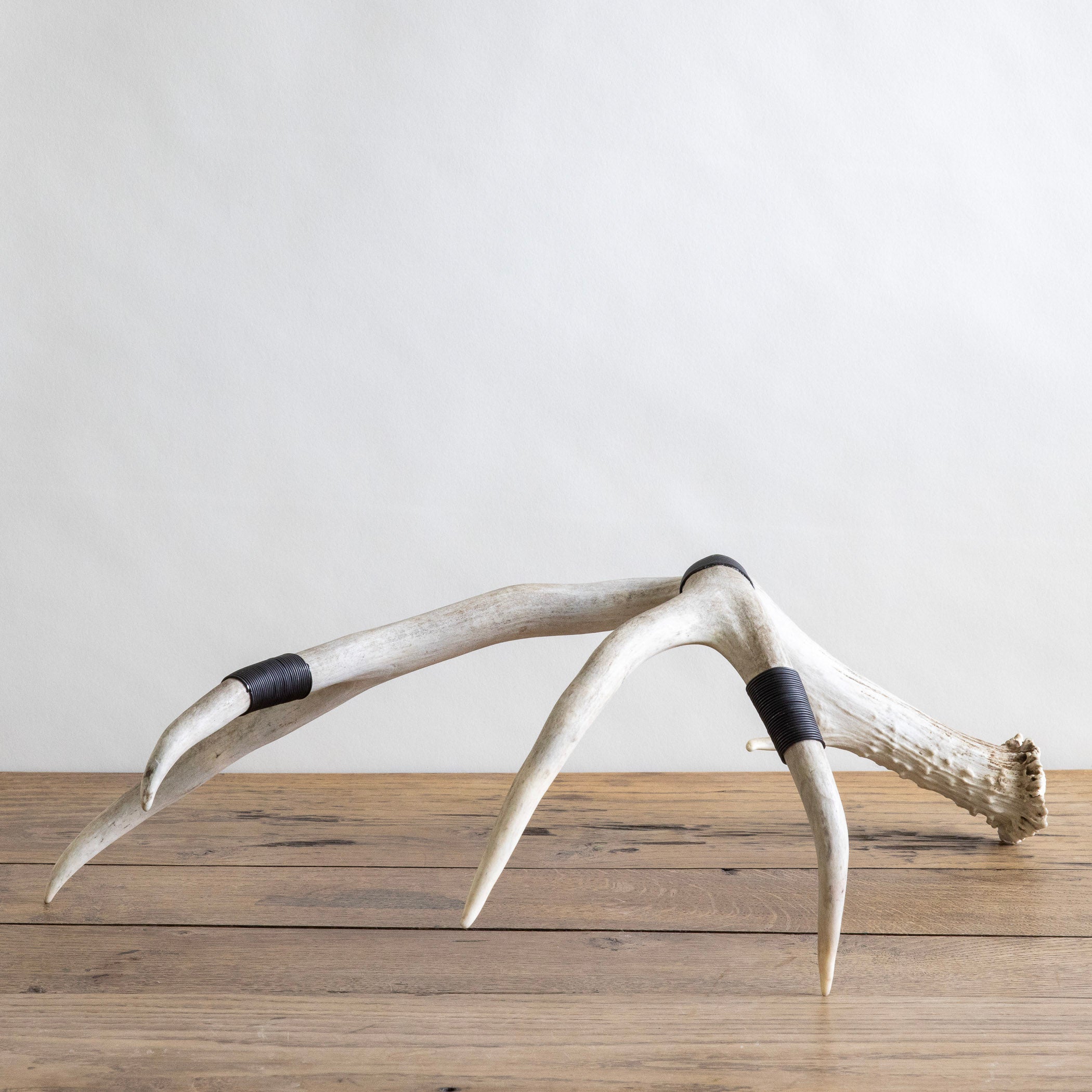 Wire-Wrapped Antler in Black
