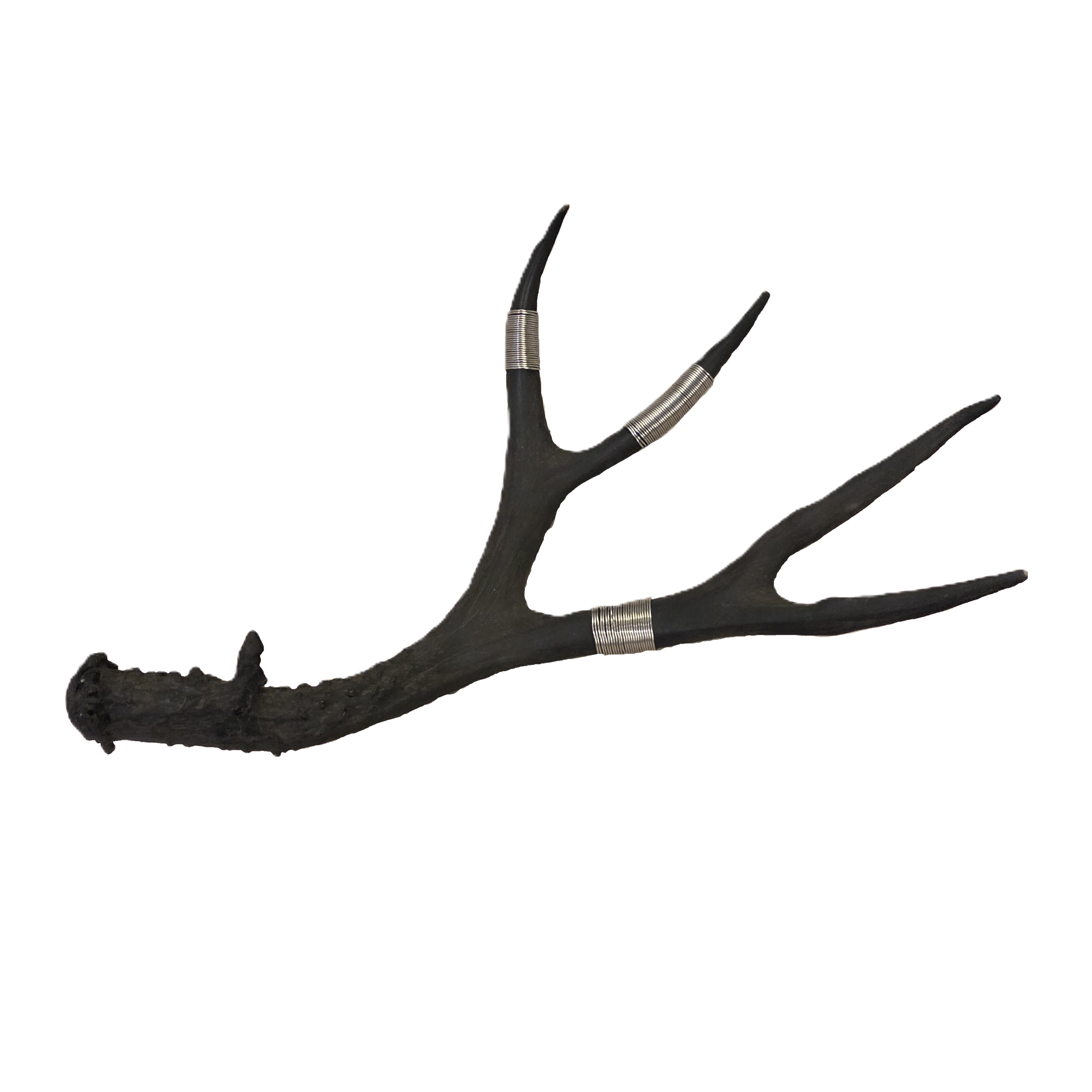 Wire-Wrapped Antler in Silver