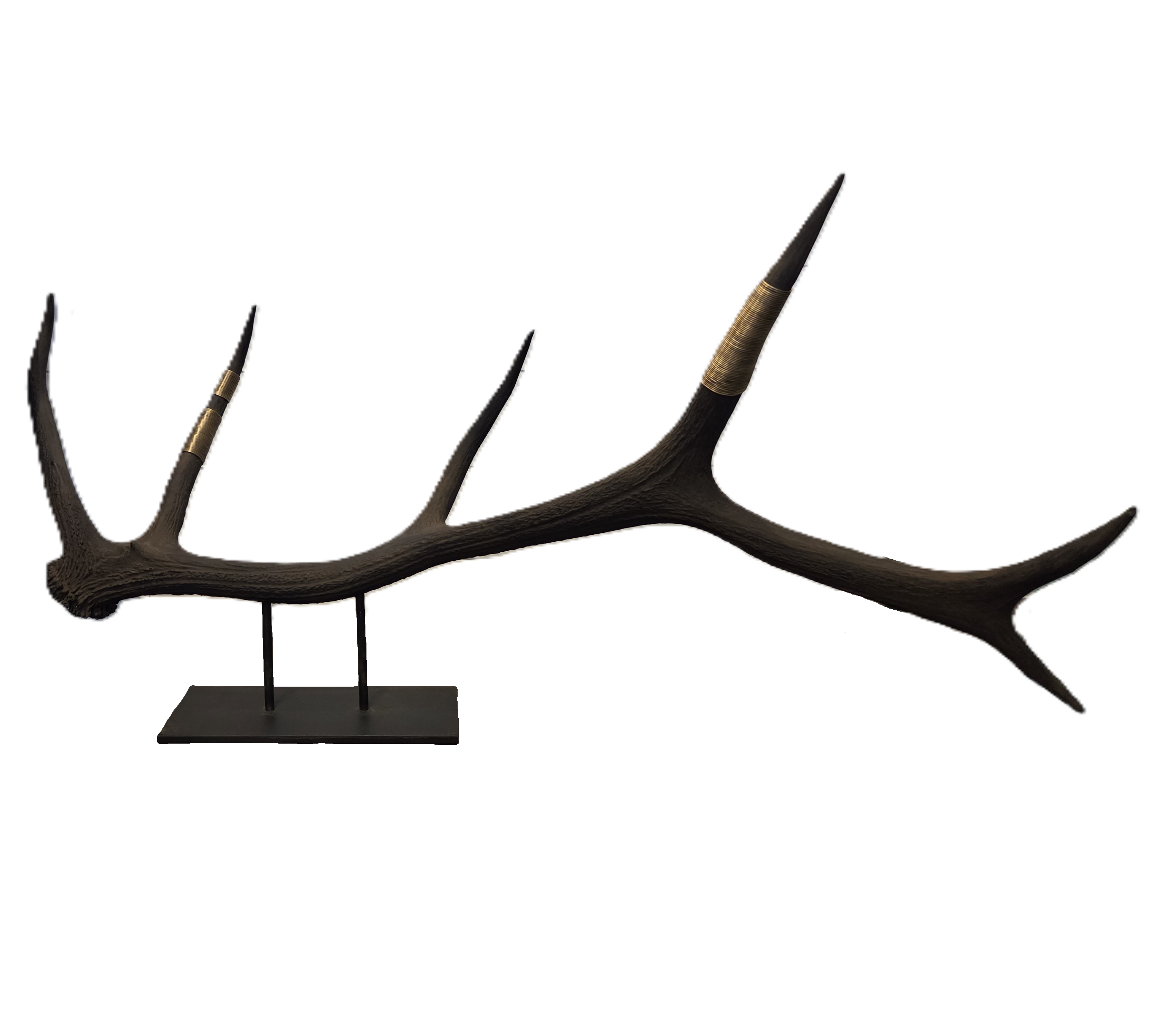 Elk Antler Sculpture in Black with Hand-Wrapped Brass Wire
