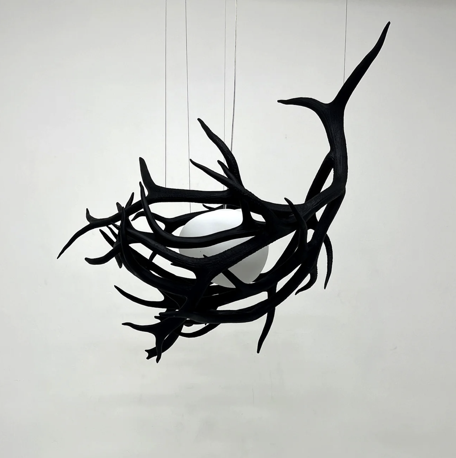 Elk Antler Pod