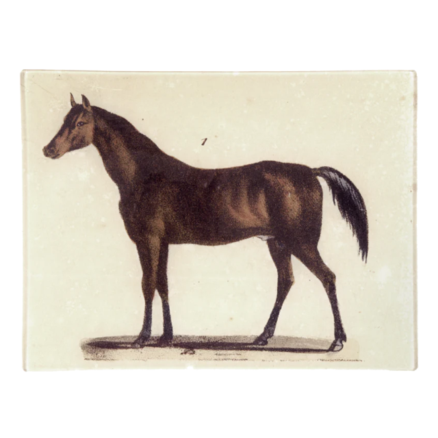 John Derian <br> Horse #1 Rectangular Tray 8" x10.5"