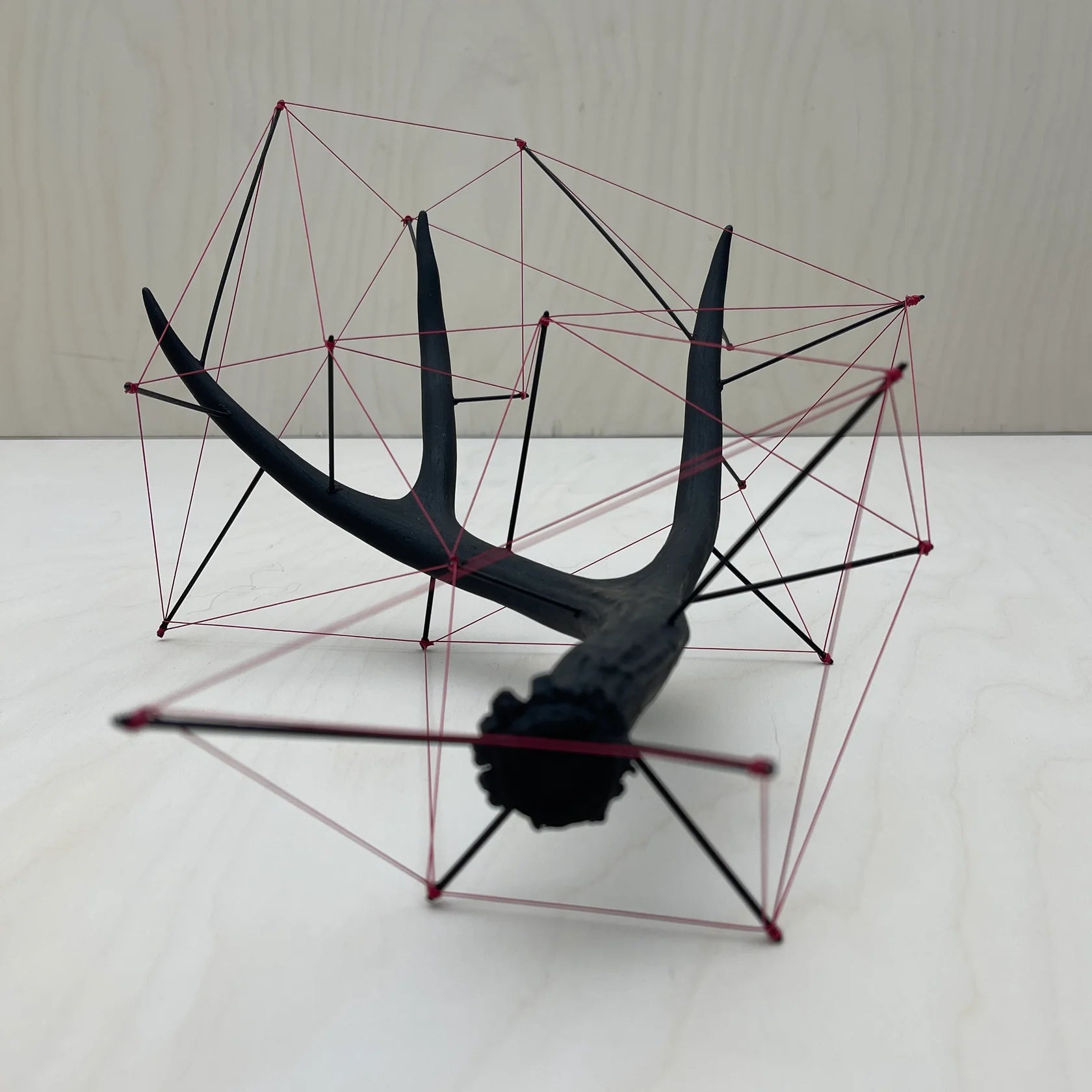 String Theory Antler
