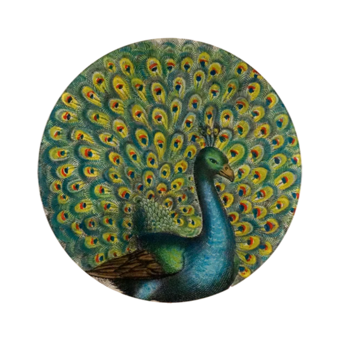 John Derian - Coy Peacock Platter
