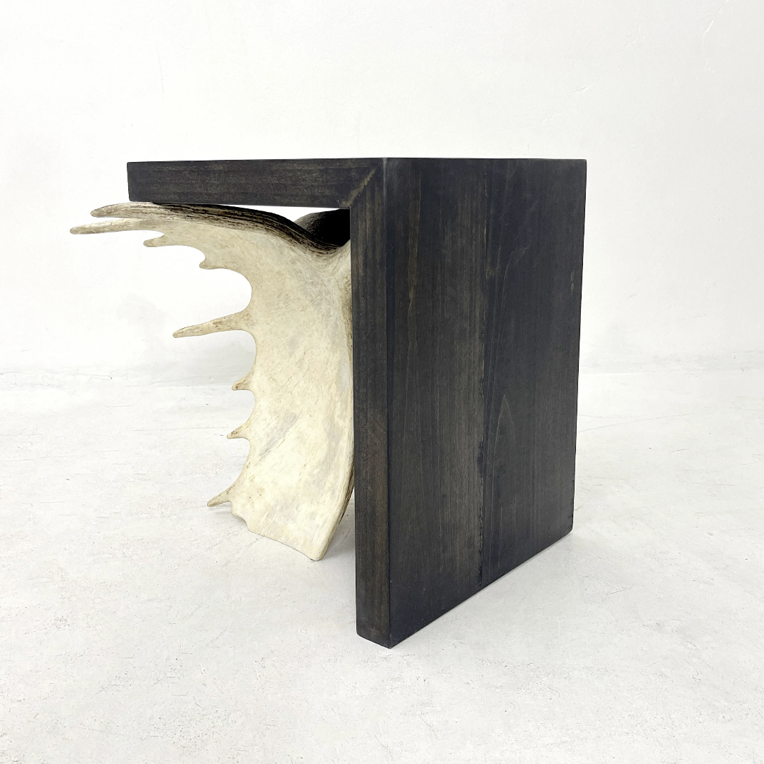 Moose Antler End Table