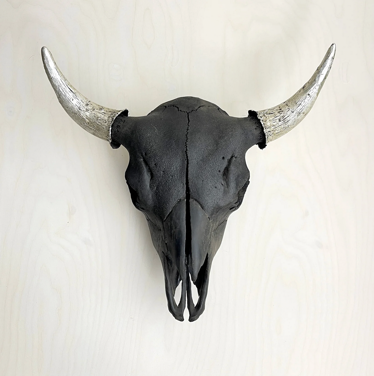 Black Bison Skull, Silver Horns