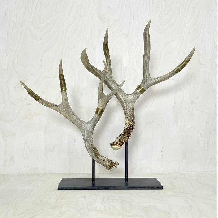 Wire-Wrapped Deer Antler Stand <br> Double