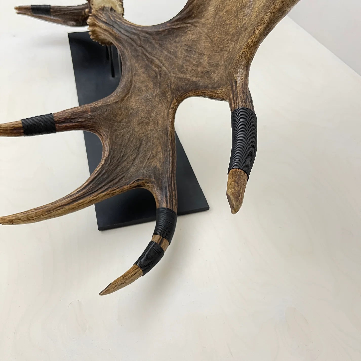 Moose Paddles: Natural Sculpture with Black Wire Detailing