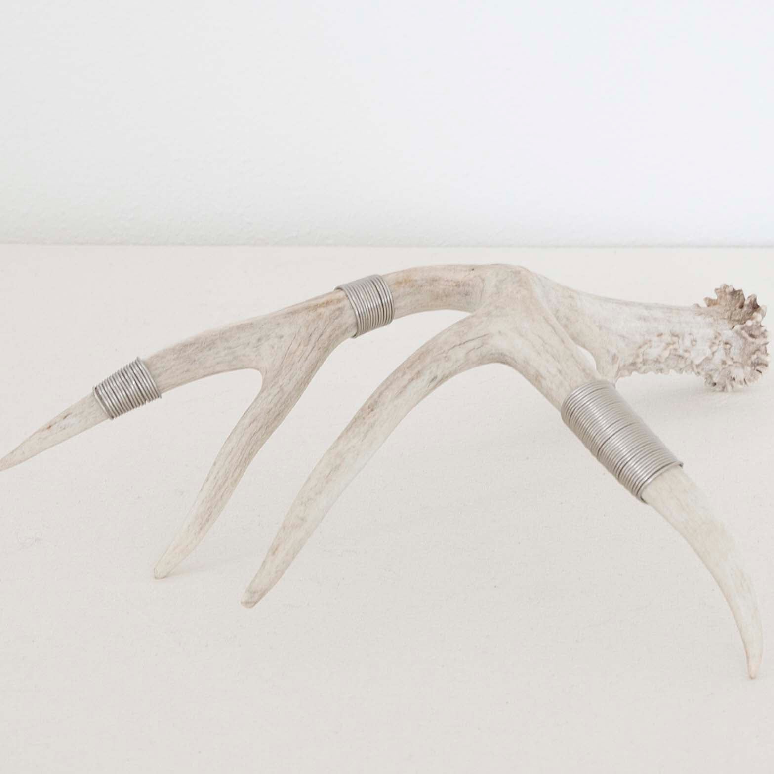 Wire-Wrapped Antler in Silver