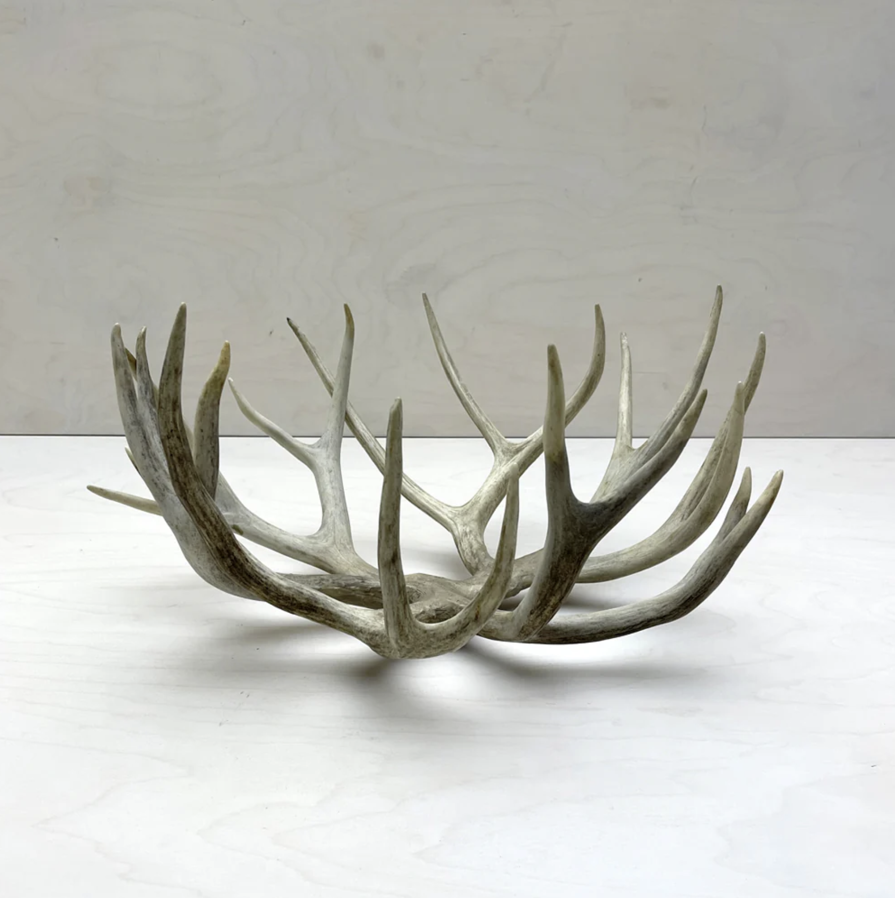 Antler Bowl