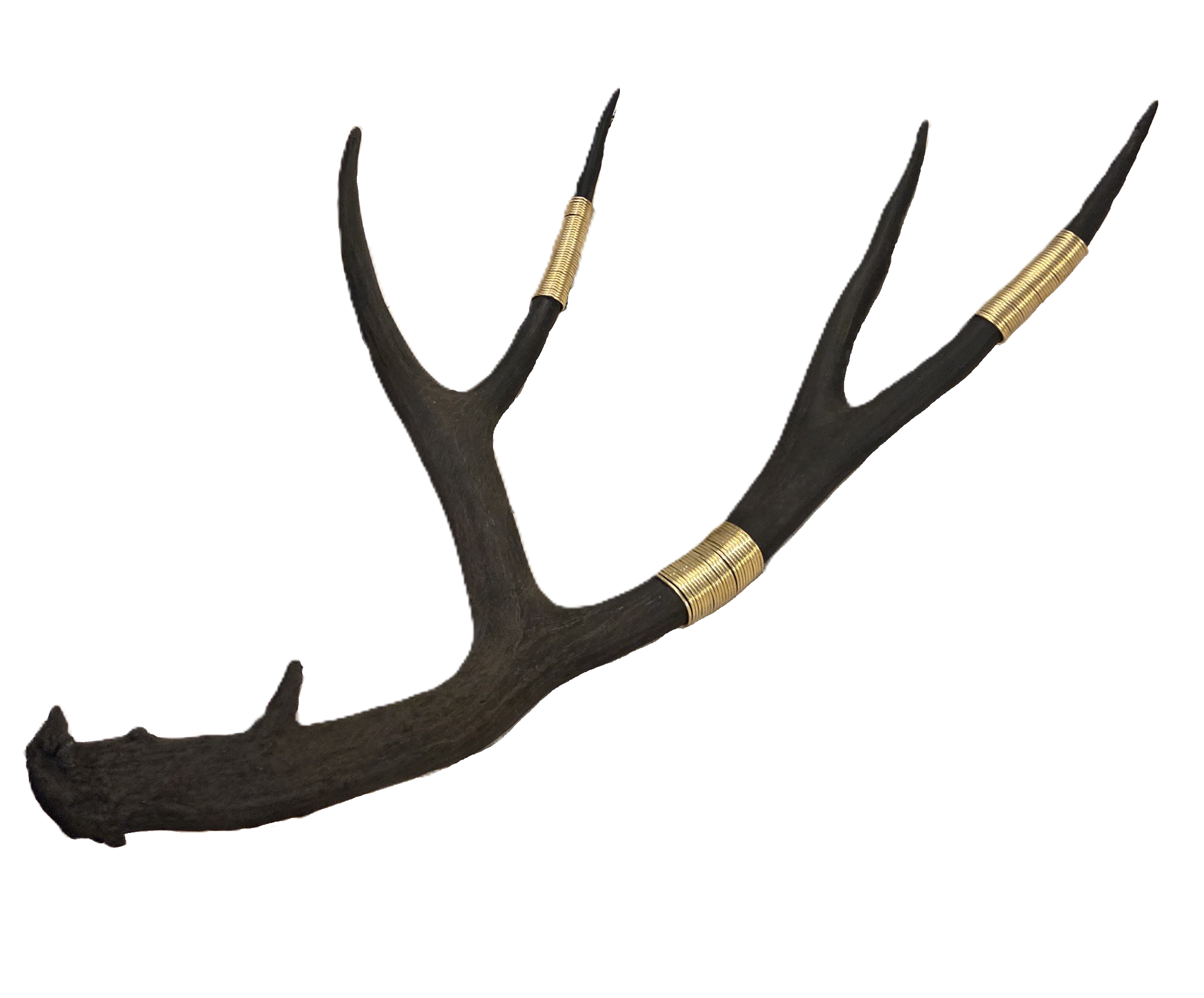Wire-Wrapped Antler in Brass