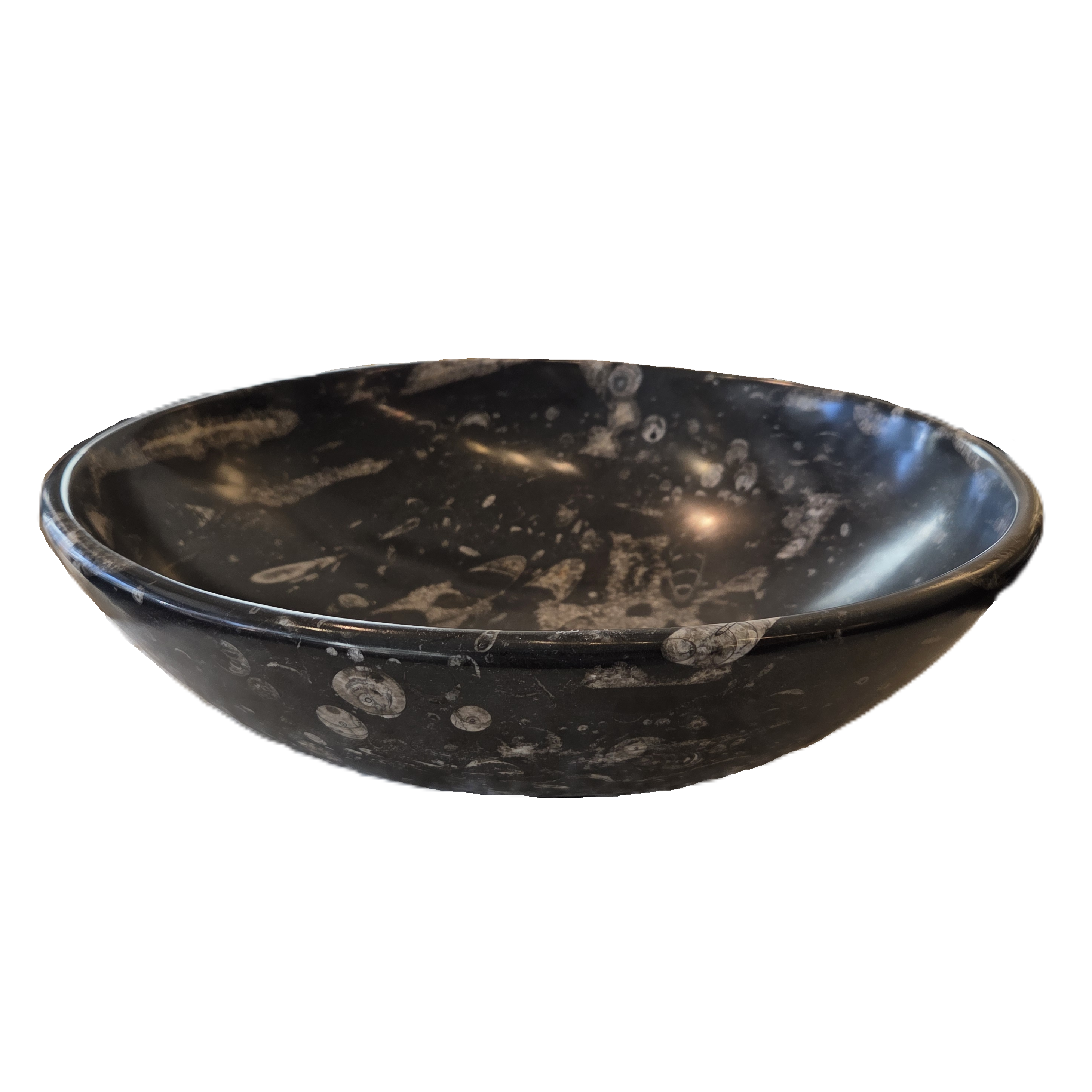 Moroccan Orthoceras Bowl