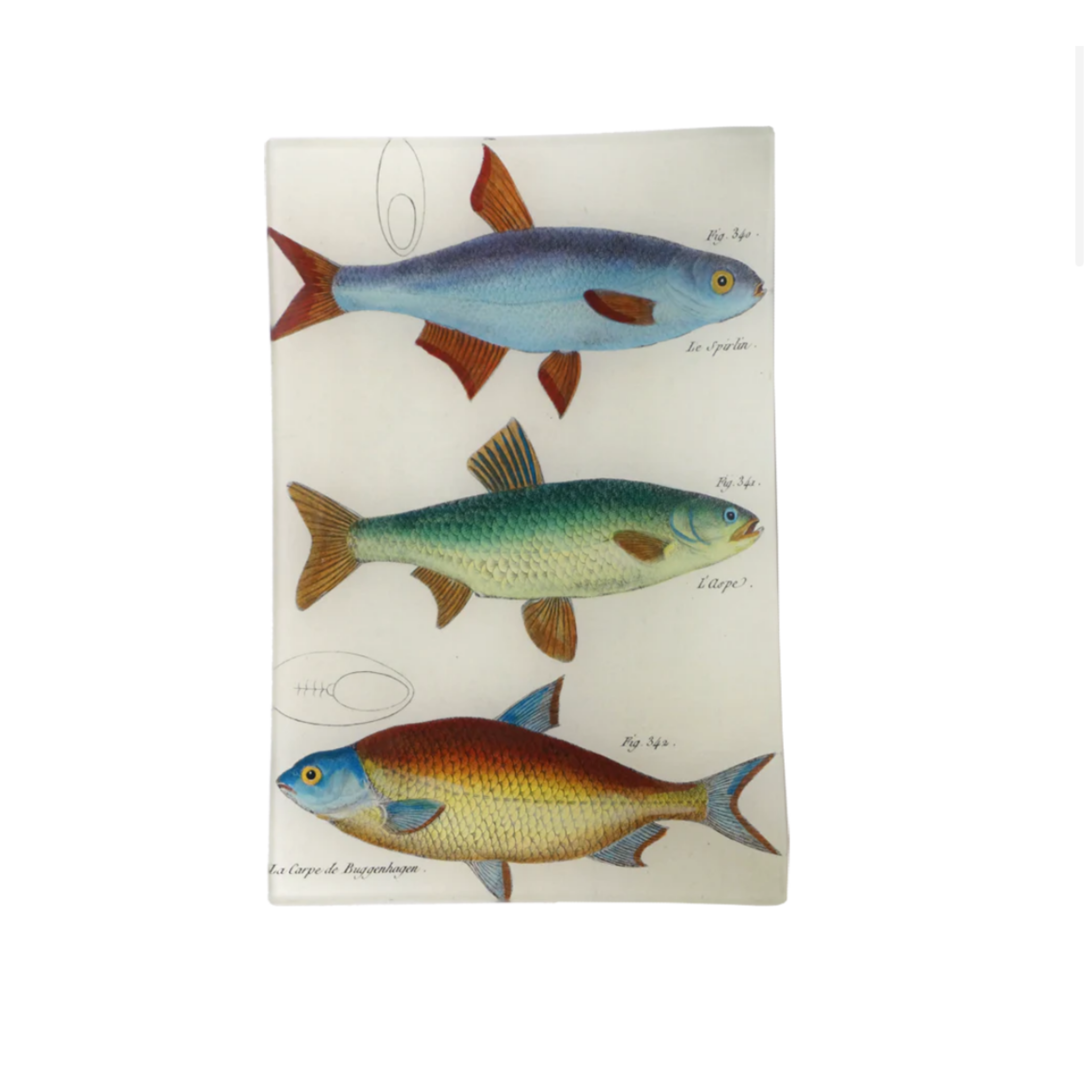 John Derian <br> 3 Fish Planche Tray