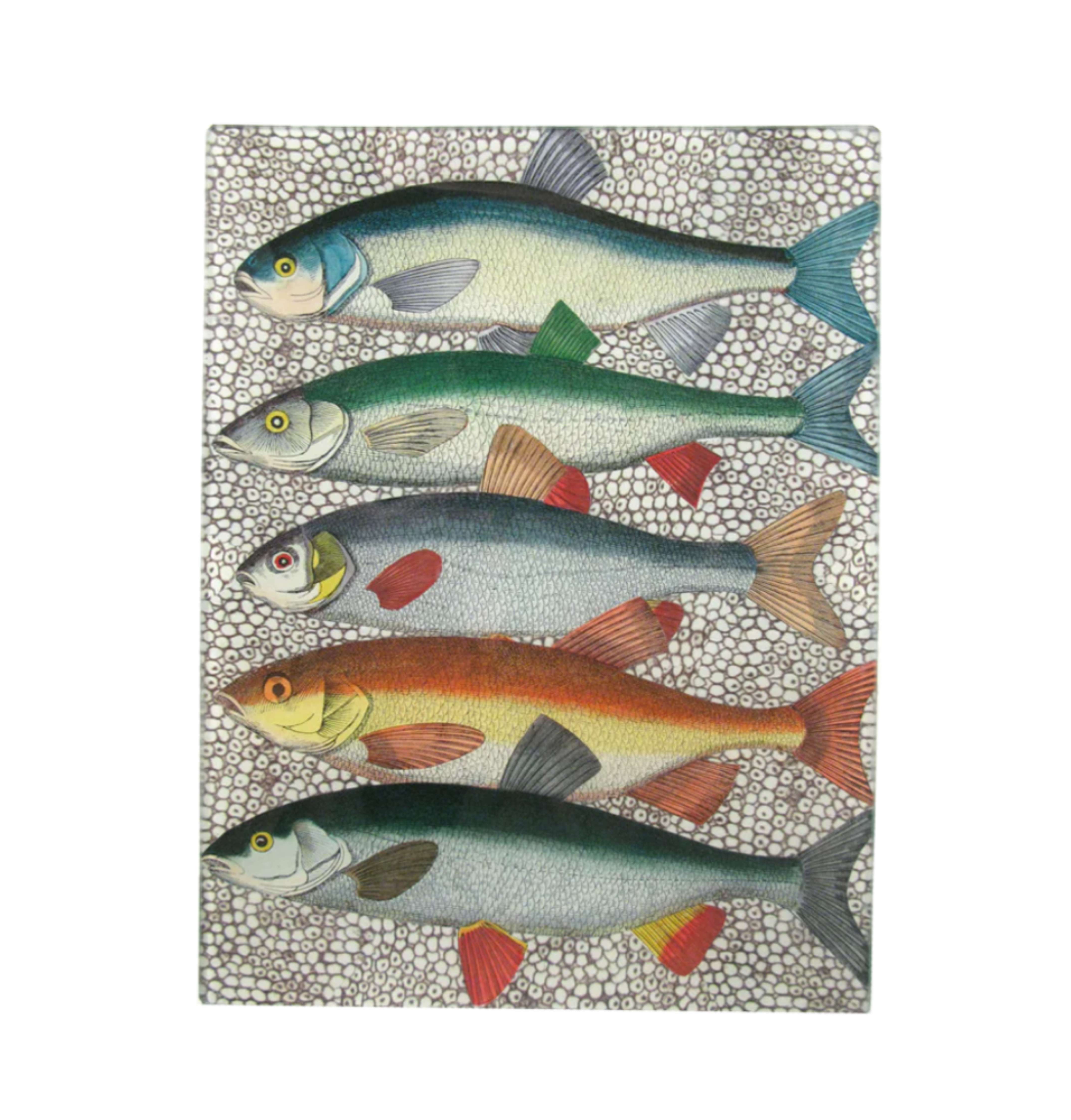 John Derian <br> Some Fish Tray