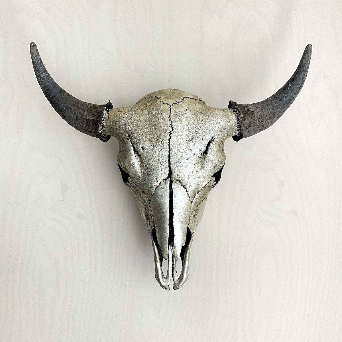 Silver Bison Silver Bison Skull