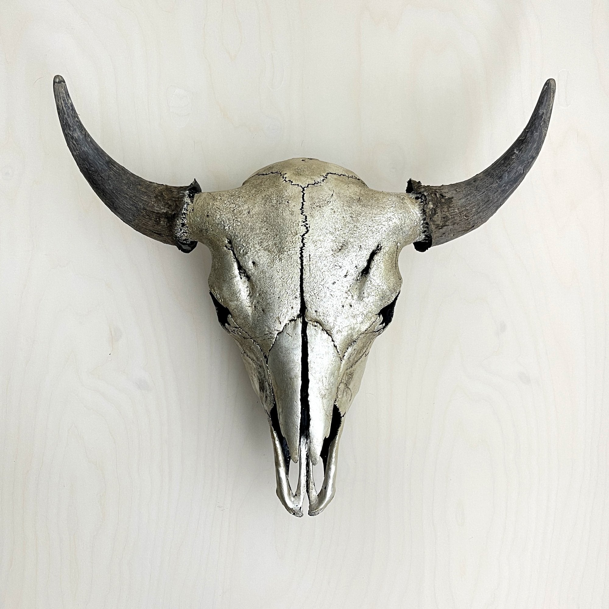 Silver Bison Skull