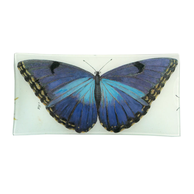 John Derian <br> Blue Butterfly Pencil Tray
