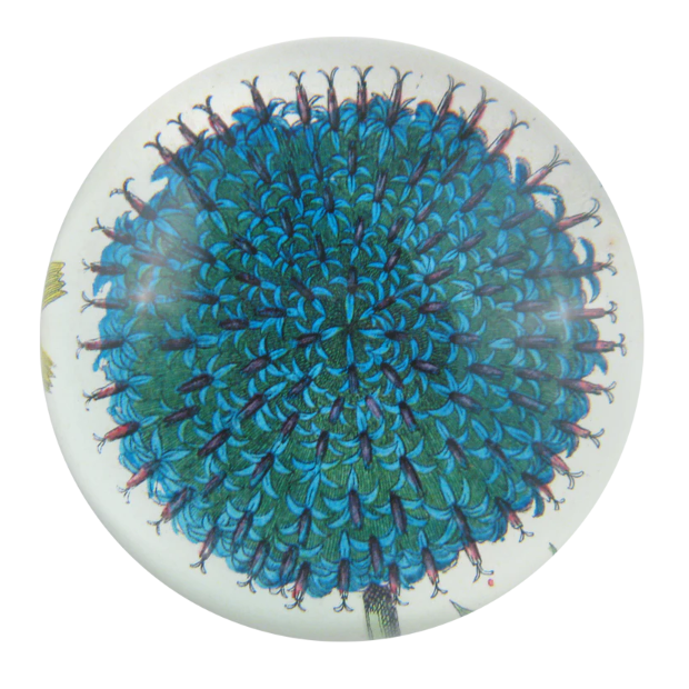 John Derian <br> Blue Flower Dome Paperweight