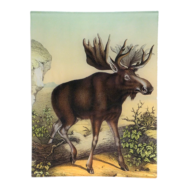 John Derian <br> Coco Moose C. 8" x 10" Rectangular Tray