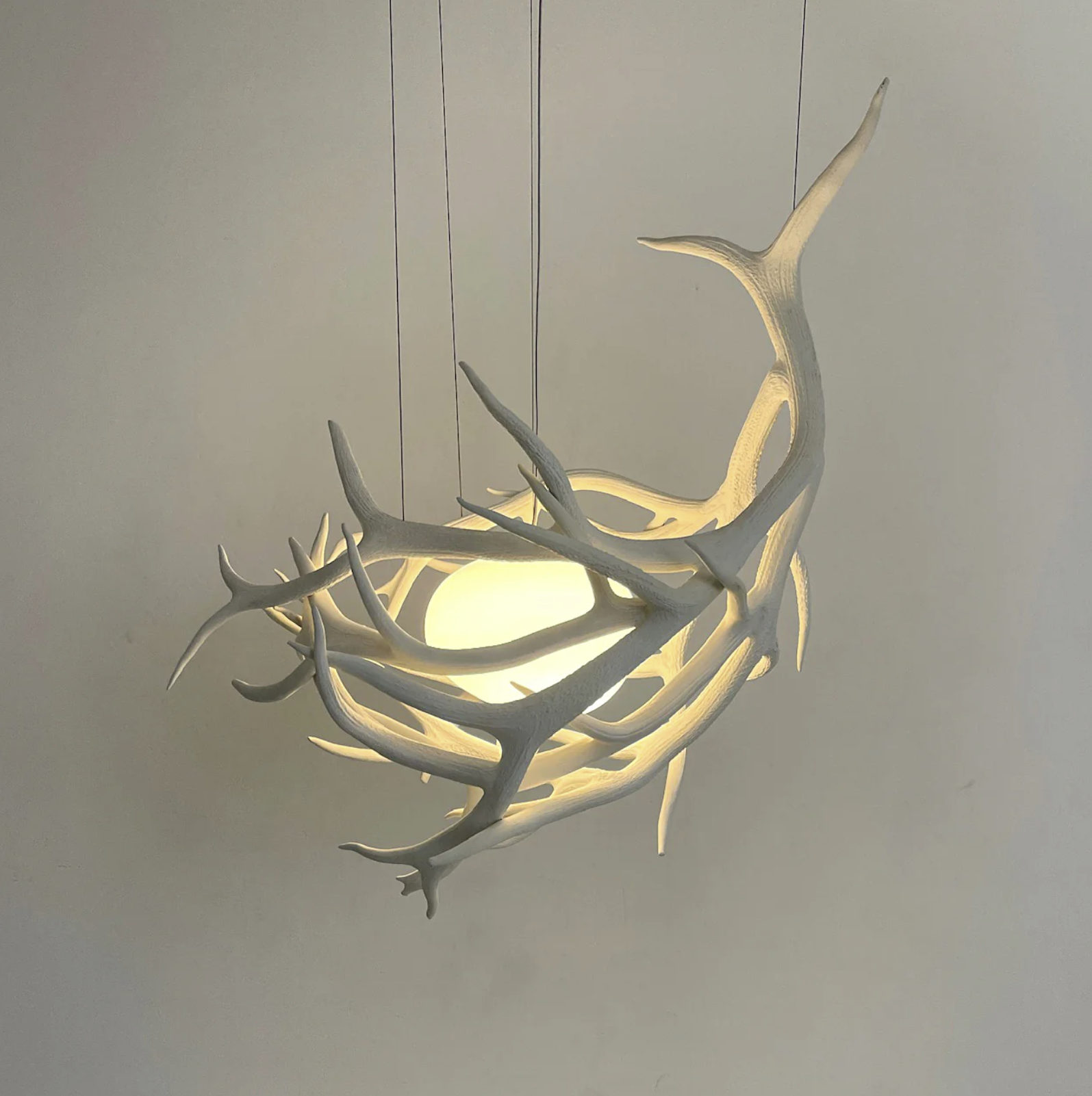 Elk Antler Pod