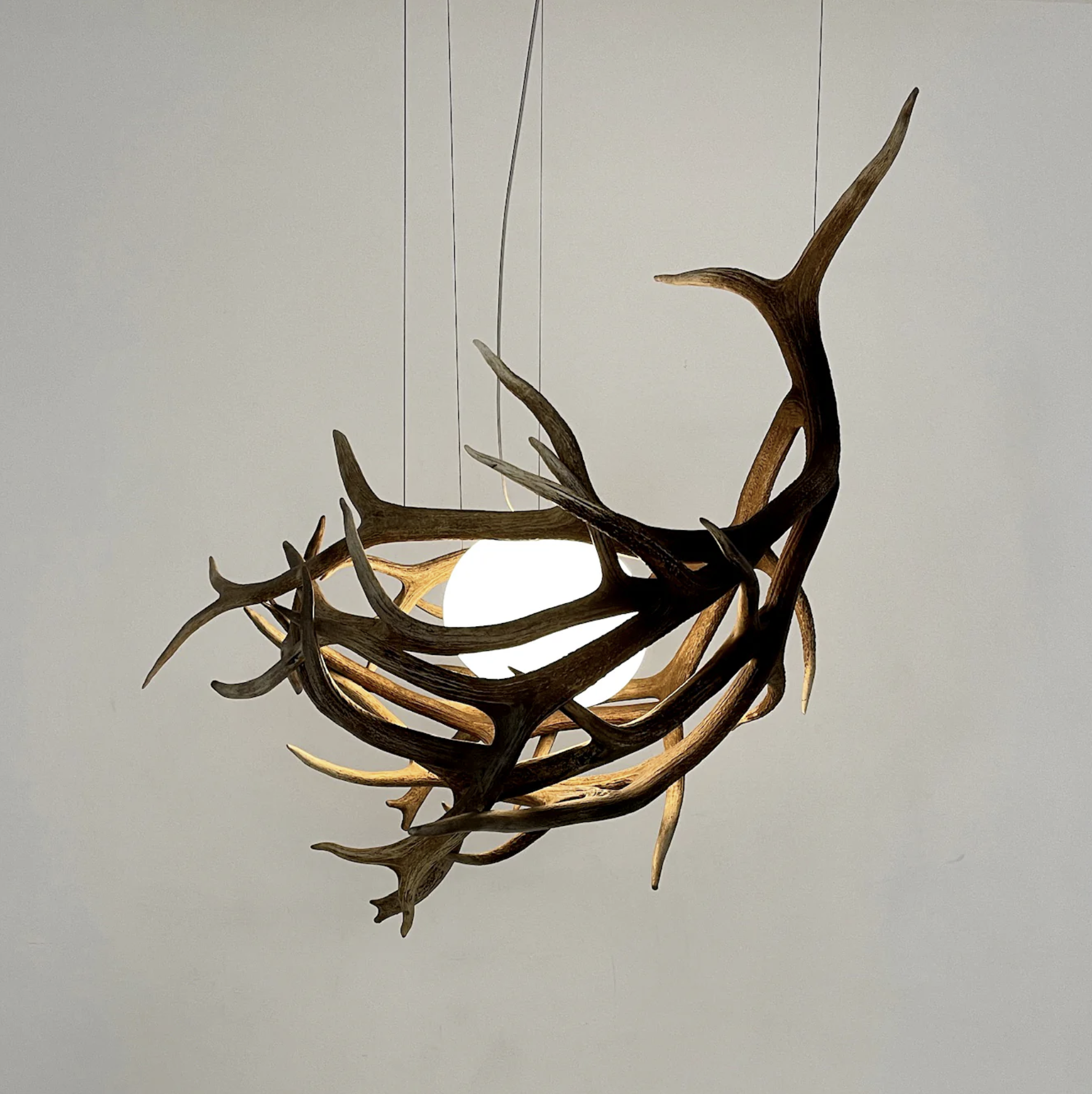Elk Antler Pod