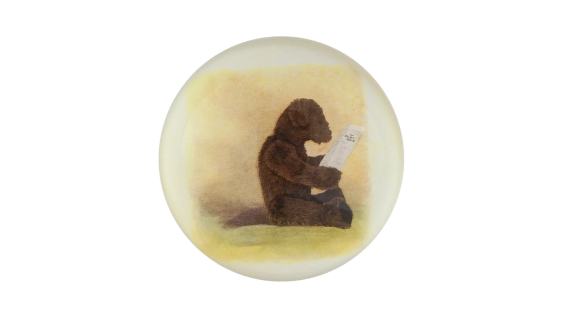 John Derian <br>Bear Reading Paperweight