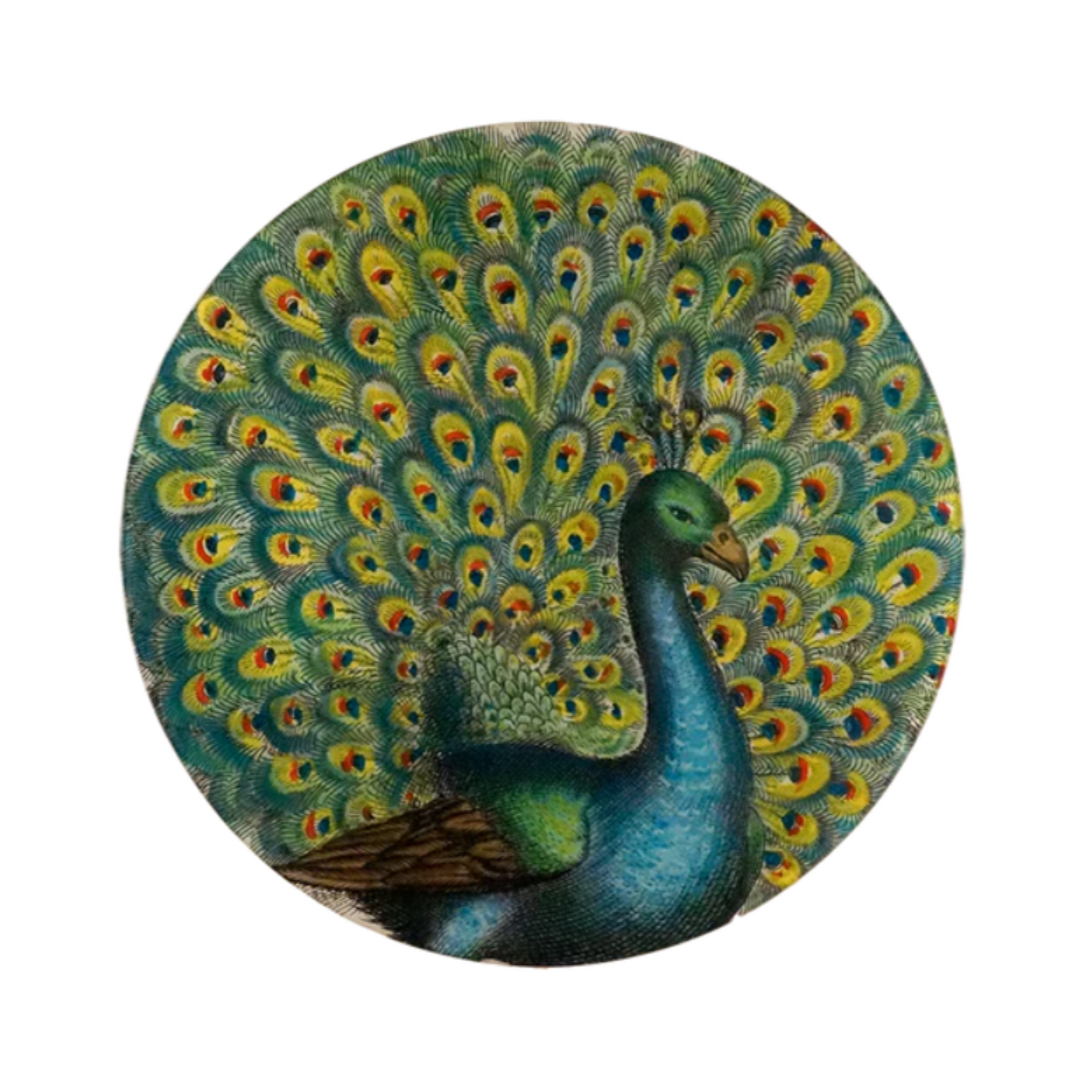 John Derian<br>Coy Peacock Platter