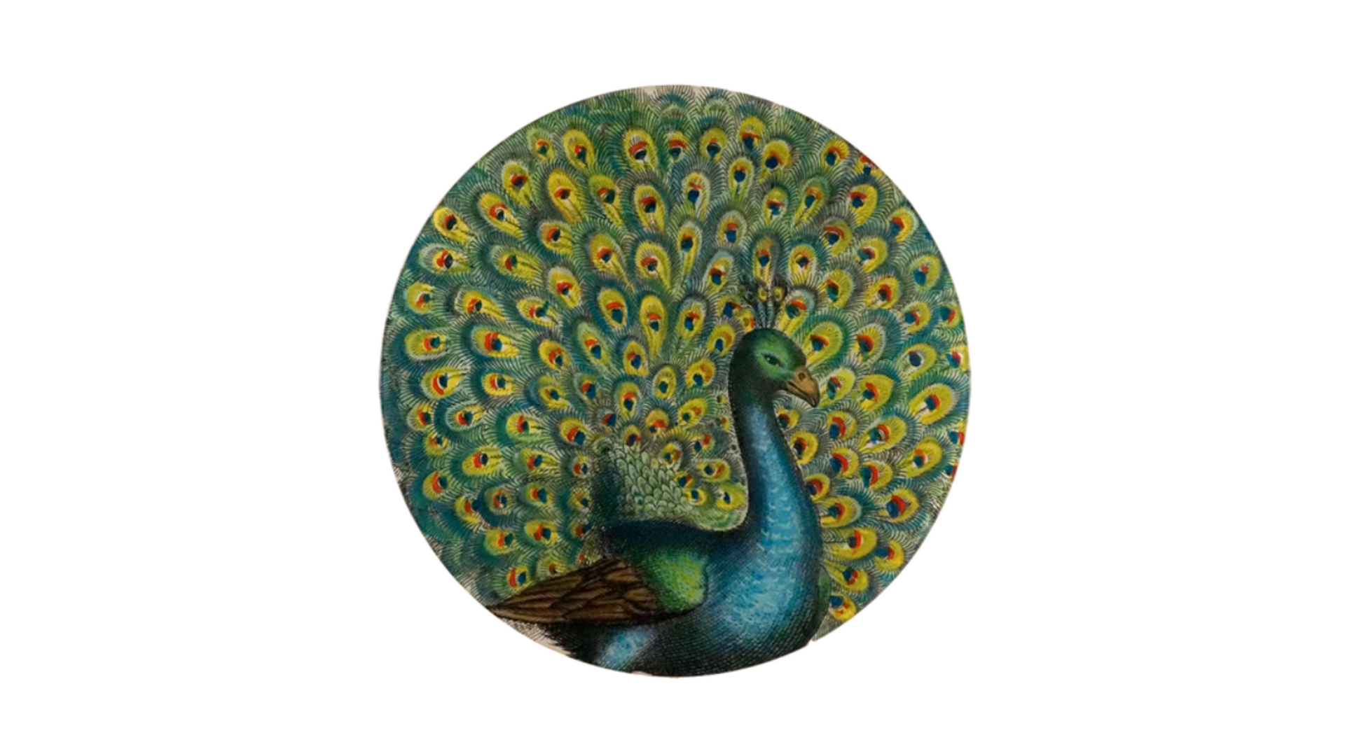 John Derian<br>Coy Peacock Platter