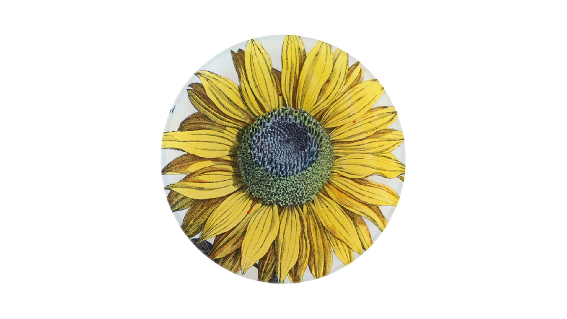 John Derian<br>Sunflower Plate