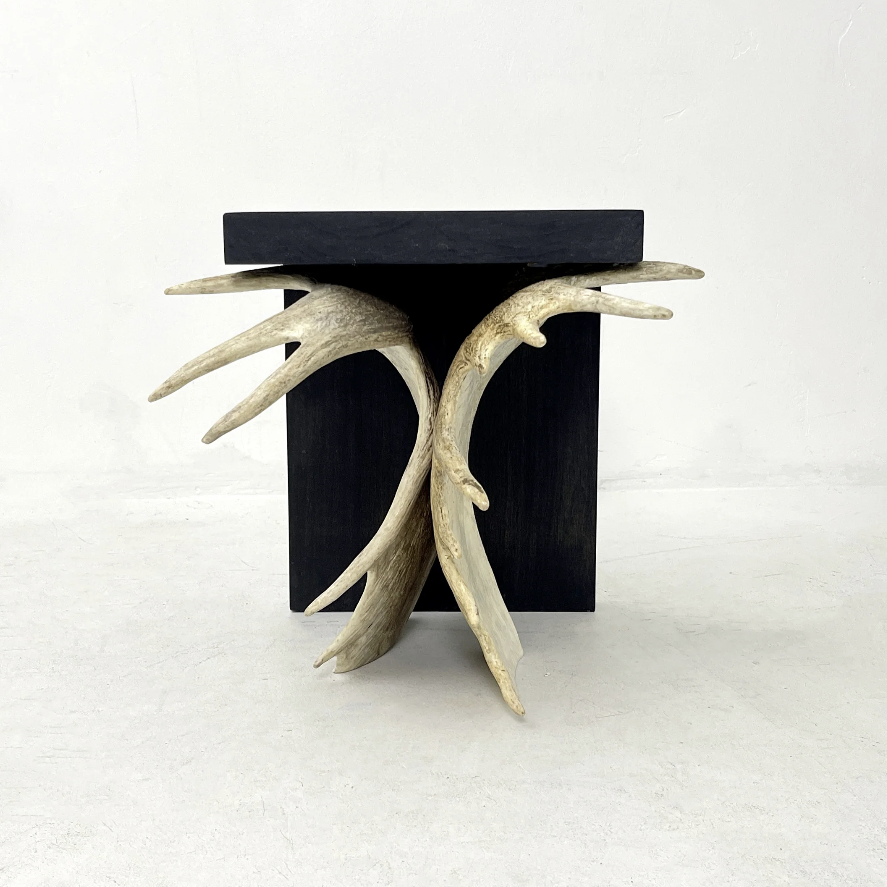 Moose Antler End Table