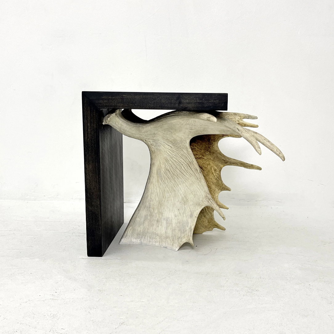 Moose Antler End Table