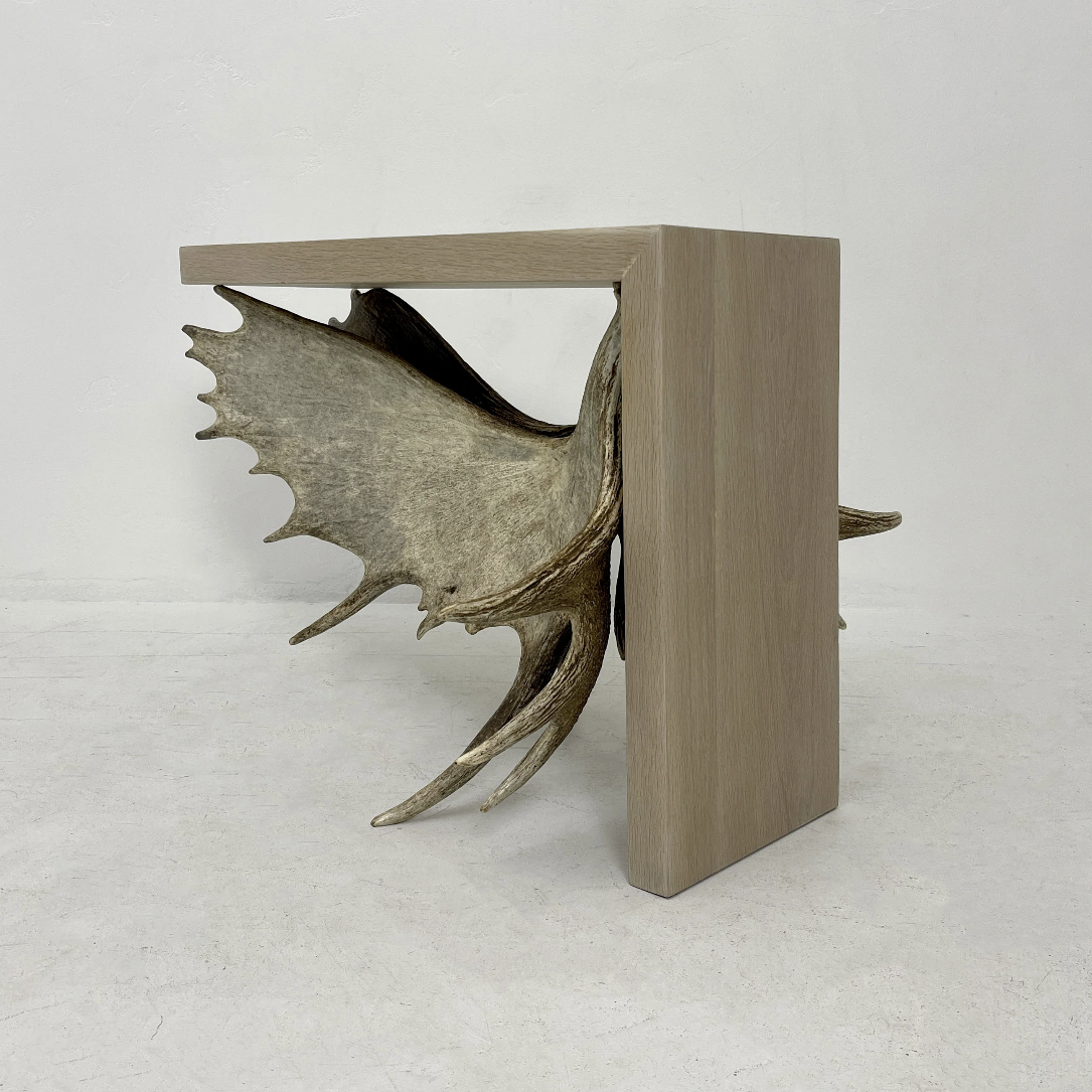 Moose Antler End Table