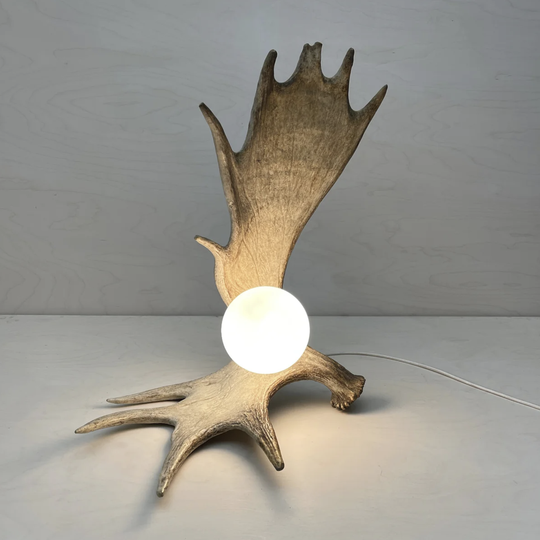 Moose Antler Lamp