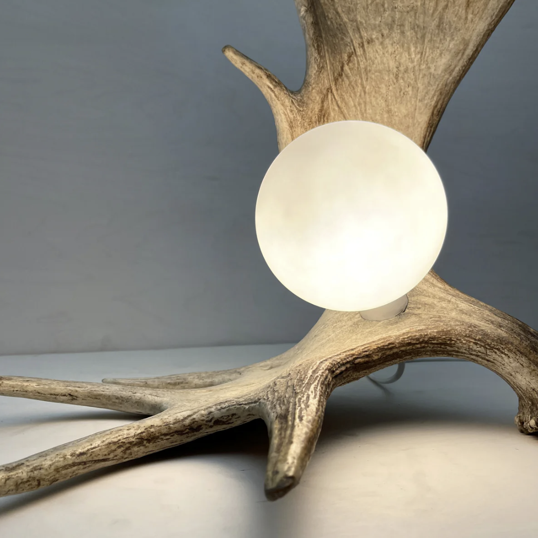Moose Antler Lamp