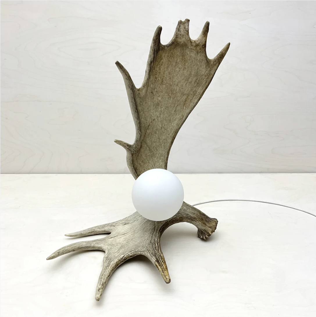 Moose Antler Lamp