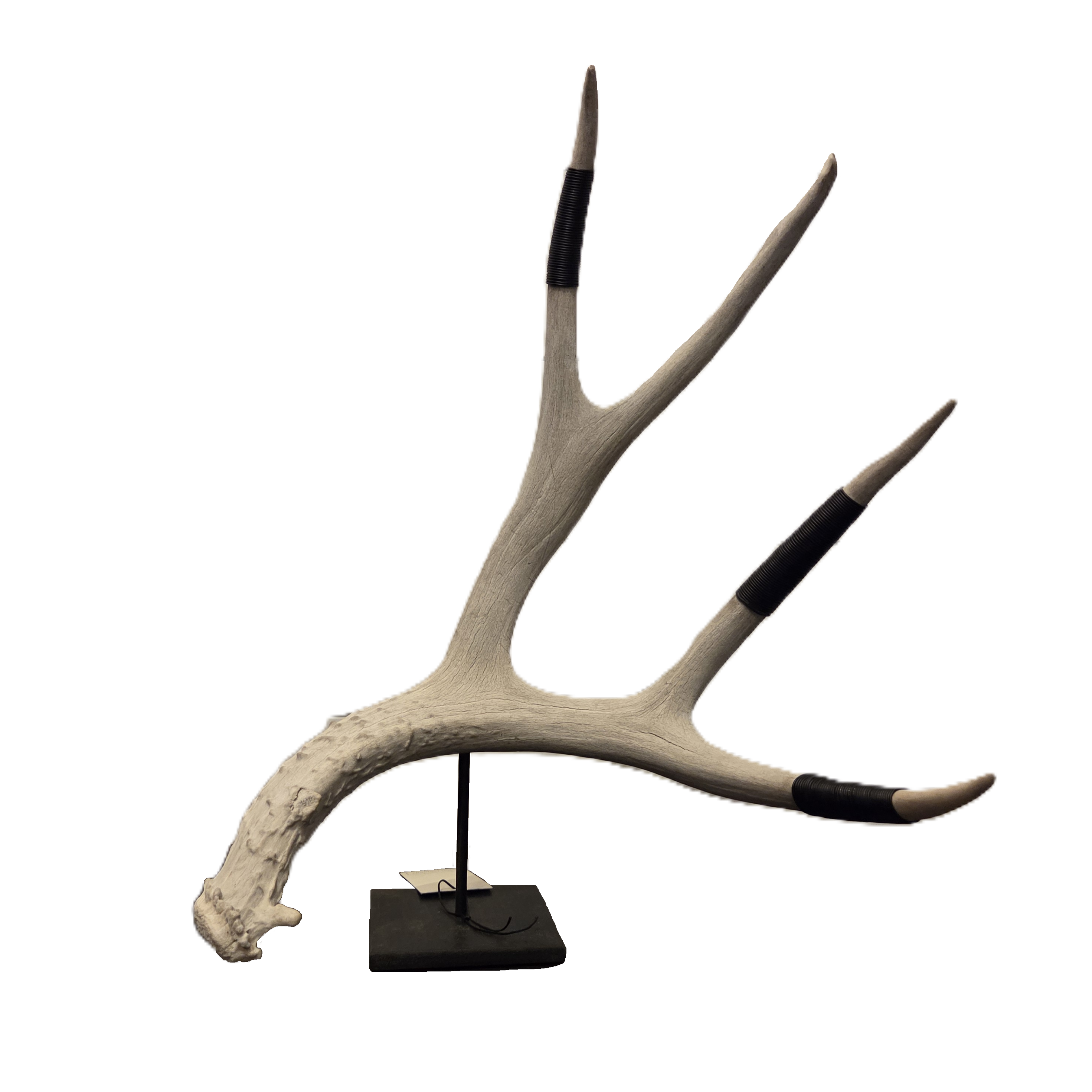 Wire-Wrapped Deer Antler Stand <br> Single