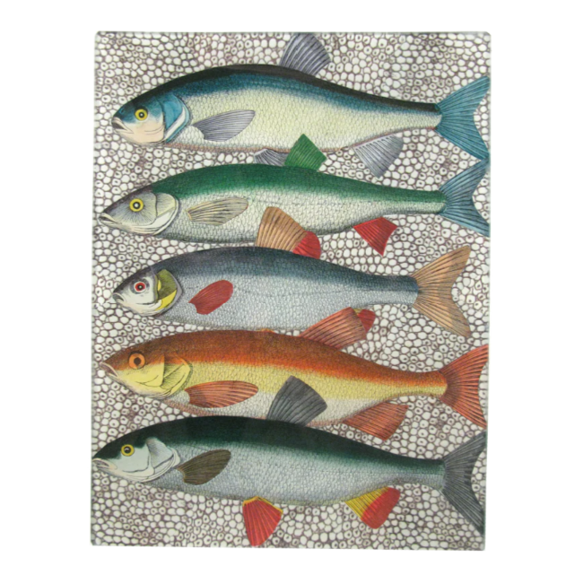 John Derian <br> Some Fish Rectangular Tray 8" x 10.5"