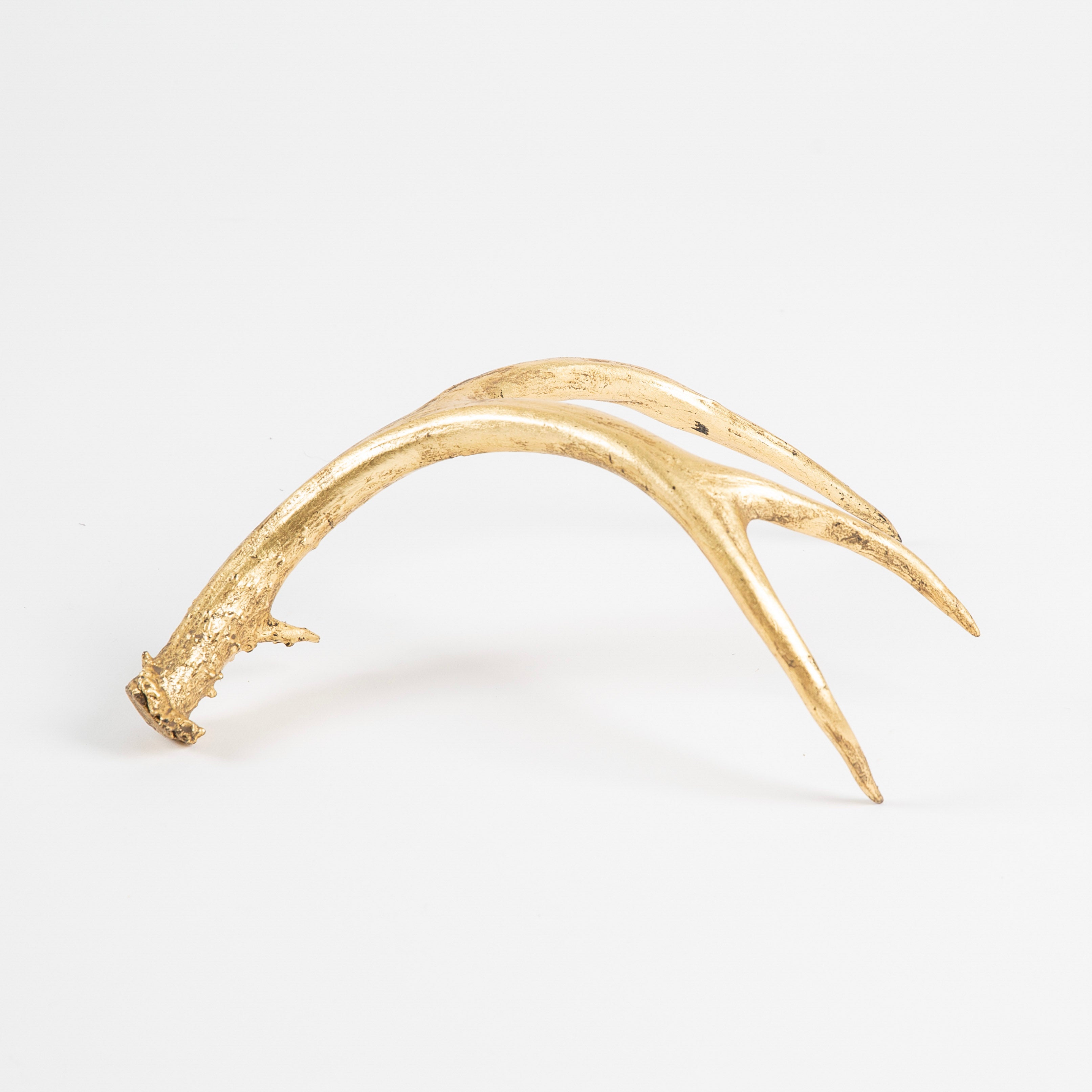 Dipped Antler in Gold