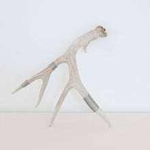 Silver-Wrapped Natural Antler