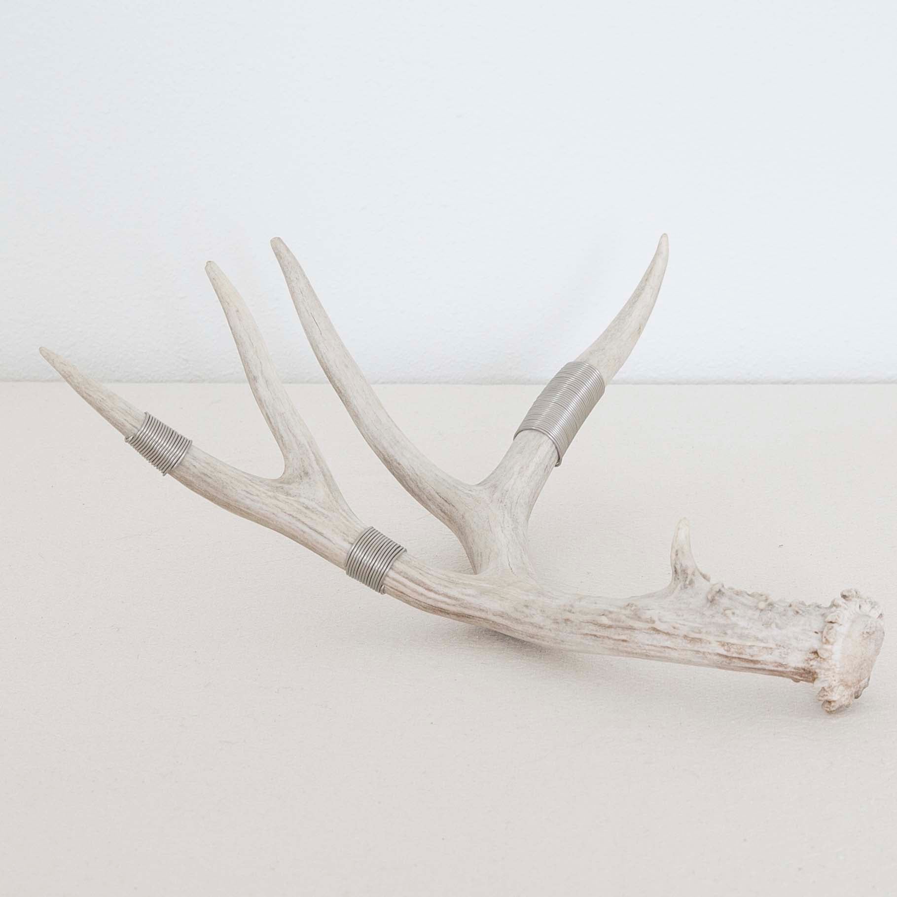 Wire-Wrapped Antler in Silver