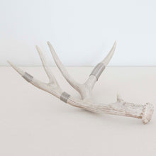 Silver-Wrapped Natural Antler