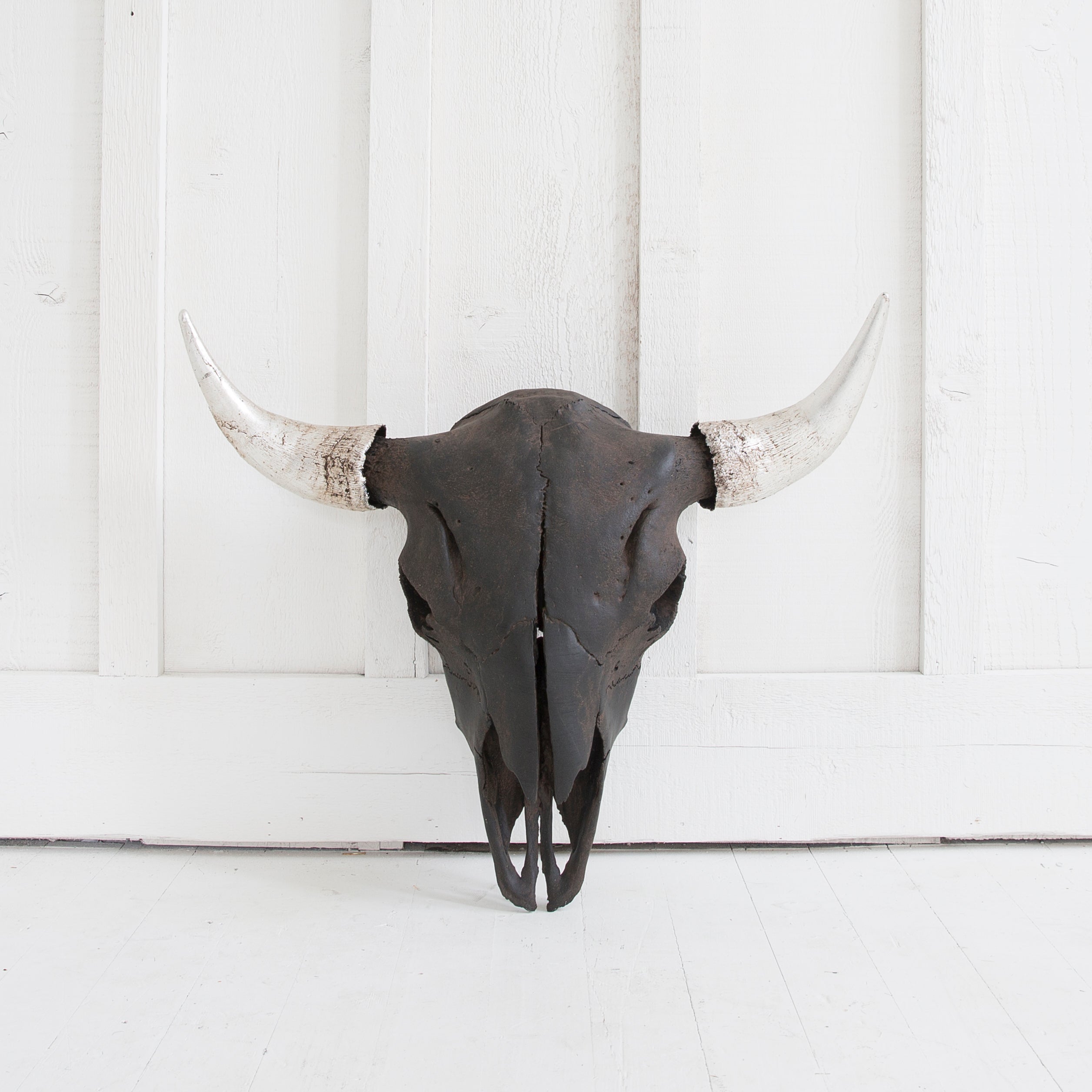 Black Bison Skull, Silver Horns